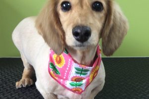 ７月のお友達☆