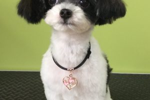 ７月のお友達☆