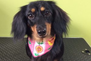 ７月のお友達☆