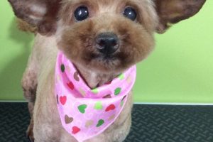 ７月のお友達☆