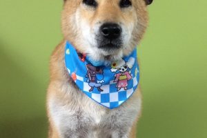 ７月のお友達☆