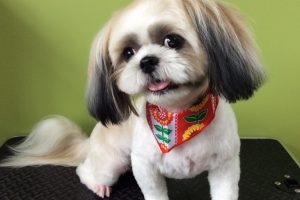 ７月のお友達☆