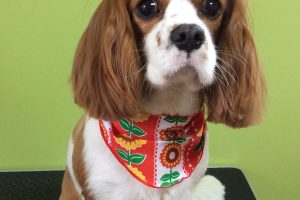 ７月のお友達☆