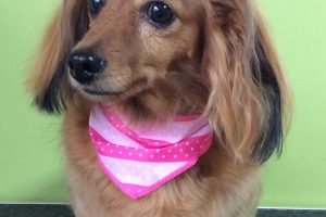 ７月のお友達☆