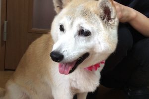 ７月のお友達☆