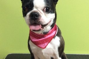 ７月のお友達☆