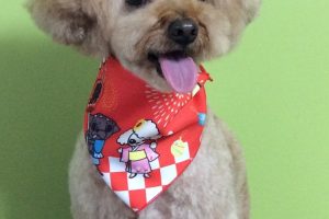 ７月のお友達☆