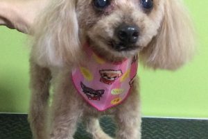 ７月のお友達☆