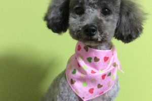 ７月のお友達☆