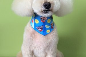 ７月のお友達☆