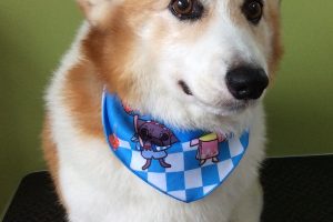 ７月のお友達☆