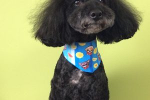 ７月のお友達☆