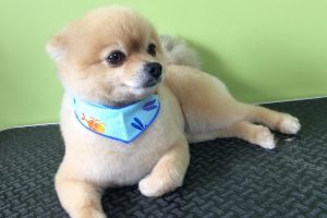 ７月のお友達☆