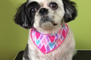 ７月のお友達☆