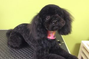 ７月のお友達☆