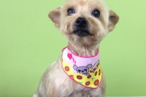 ７月のお友達☆