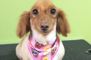 ７月のお友達☆