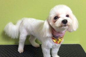 ７月のお友達☆