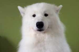 ７月のお友達☆