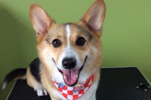 ７月のお友達☆