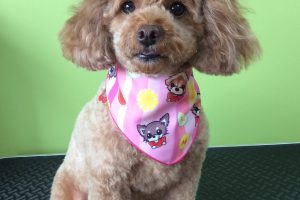 ７月のお友達☆