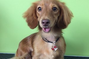 ７月のお友達☆