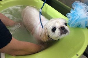 ７月のお友達☆