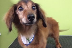 ７月のお友達☆