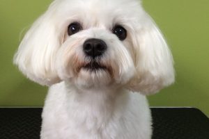 ７月のお友達☆