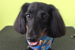 ７月のお友達☆