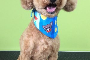 ７月のお友達☆