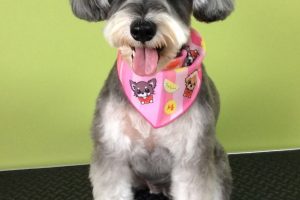 ７月のお友達☆