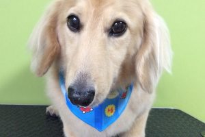 ７月のお友達☆