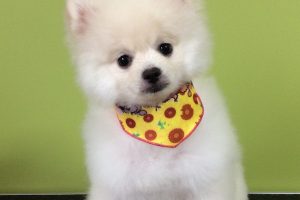 ７月のお友達☆