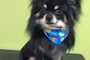 ７月のお友達☆