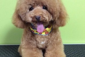 ７月のお友達☆