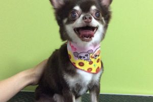 ７月のお友達☆