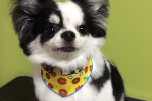 ７月のお友達☆