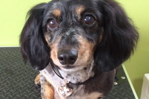 ７月のお友達☆