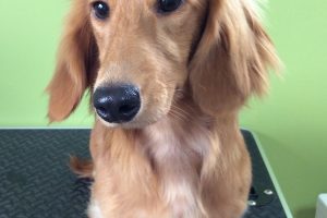 ７月のお友達☆