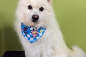 ７月のお友達☆