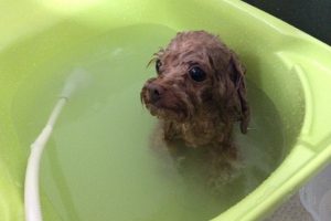 ７月のお友達☆