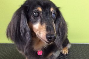 ７月のお友達☆