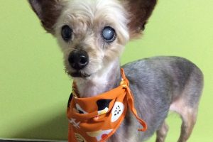 ７月のお友達☆