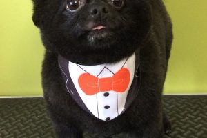 ８月のお友達☆