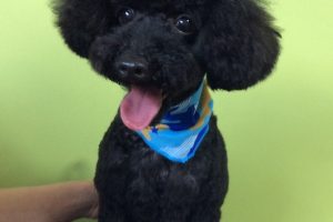 ８月のお友達☆