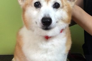 ８月のお友達☆