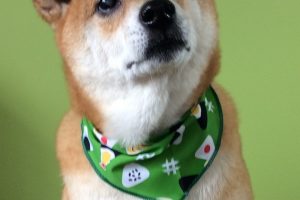 ８月のお友達☆