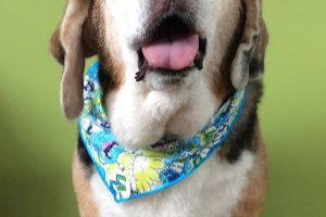 ８月のお友達☆