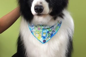 ８月のお友達☆